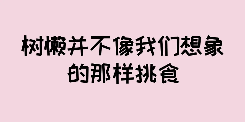 树懒并不像我们想象的那样挑食
