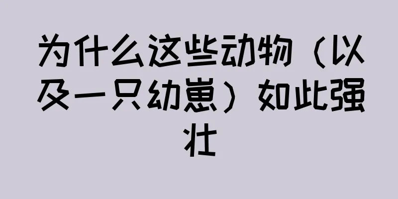 为什么这些动物（以及一只幼崽）如此强壮