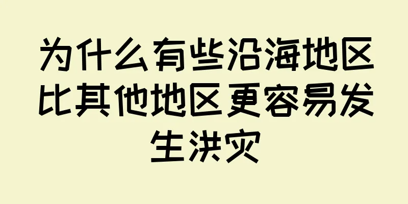 为什么有些沿海地区比其他地区更容易发生洪灾