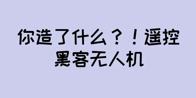 你造了什么？！遥控黑客无人机