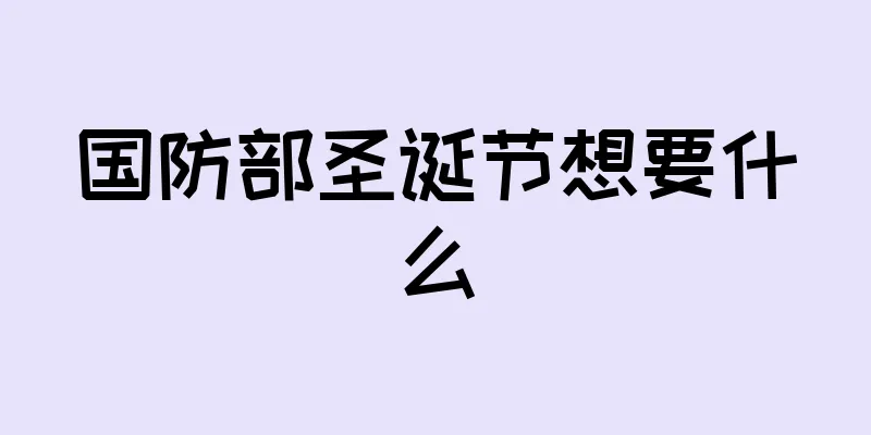 国防部圣诞节想要什么
