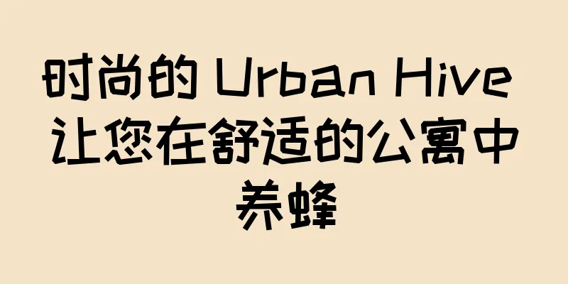 时尚的 Urban Hive 让您在舒适的公寓中养蜂