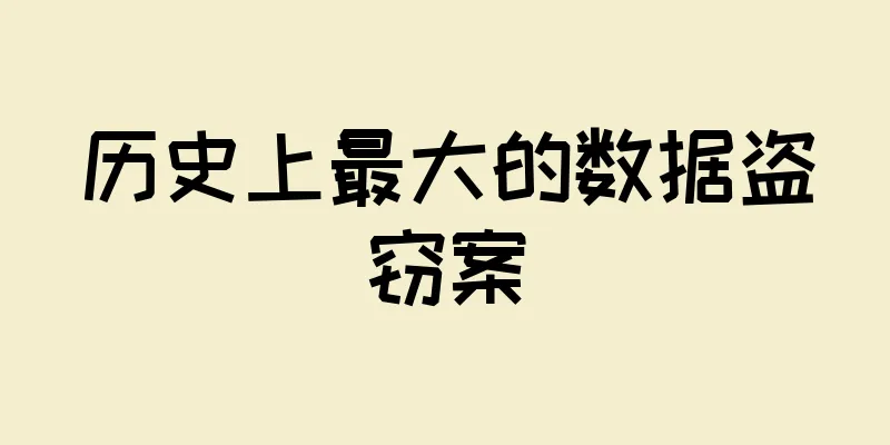 历史上最大的数据盗窃案