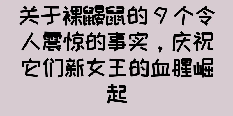 关于裸鼹鼠的 9 个令人震惊的事实，庆祝它们新女王的血腥崛起