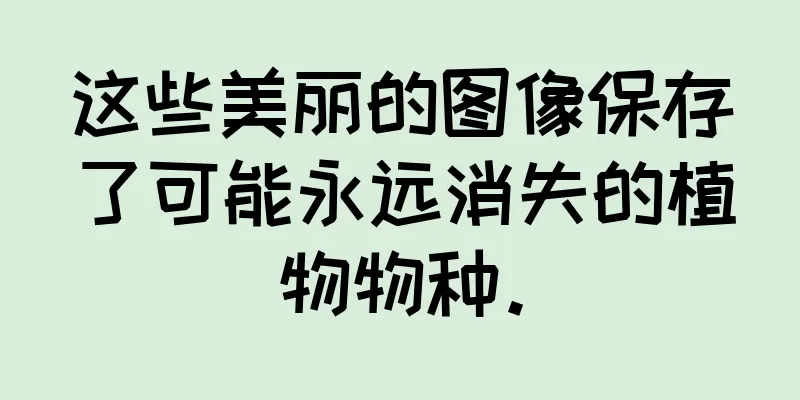 这些美丽的图像保存了可能永远消失的植物物种。
