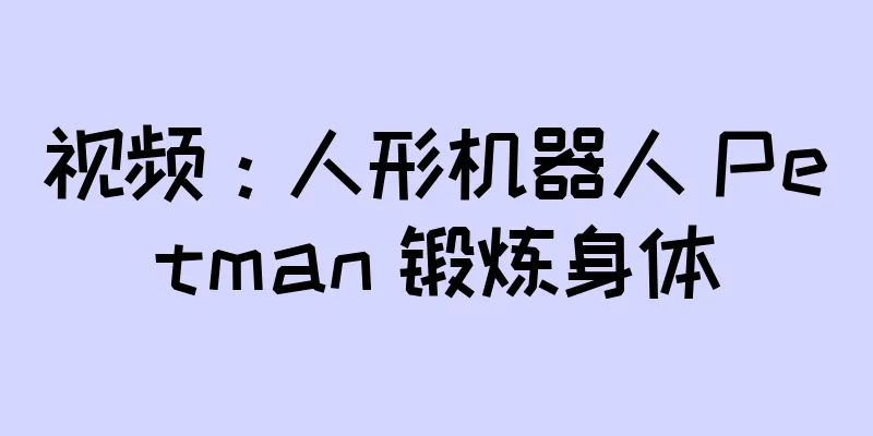 视频：人形机器人 Petman 锻炼身体