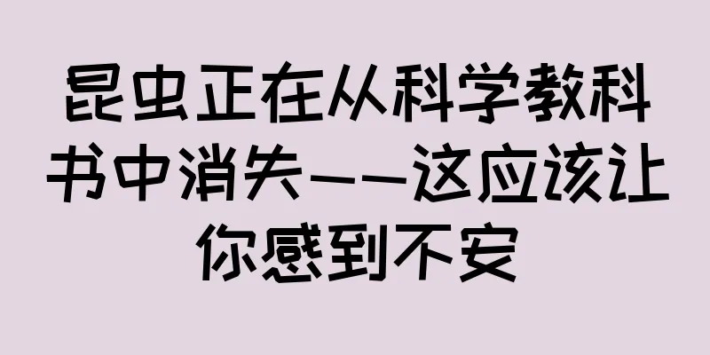 昆虫正在从科学教科书中消失——这应该让你感到不安