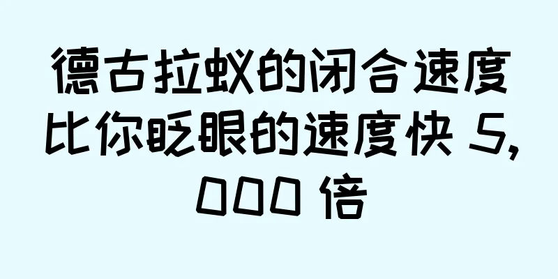 德古拉蚁的闭合速度比你眨眼的速度快 5,000 倍
