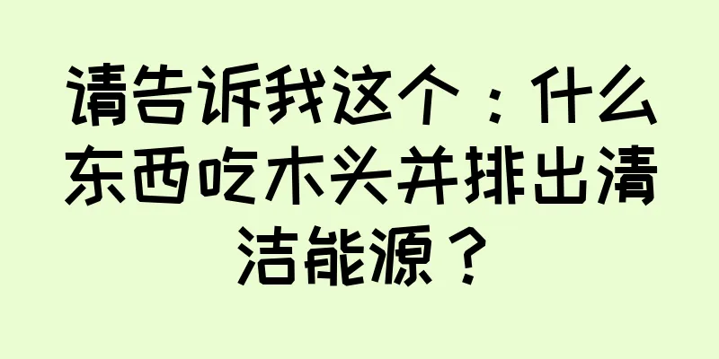 请告诉我这个：什么东西吃木头并排出清洁能源？