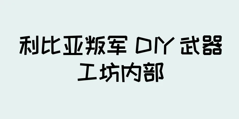 利比亚叛军 DIY 武器工坊内部