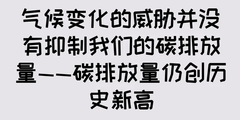气候变化的威胁并没有抑制我们的碳排放量——碳排放量仍创历史新高