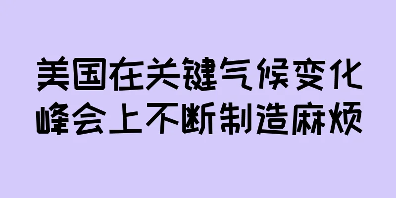美国在关键气候变化峰会上不断制造麻烦
