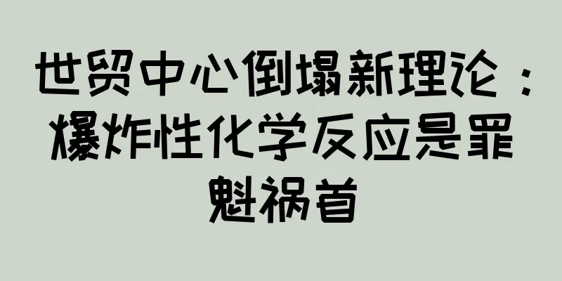 世贸中心倒塌新理论：爆炸性化学反应是罪魁祸首