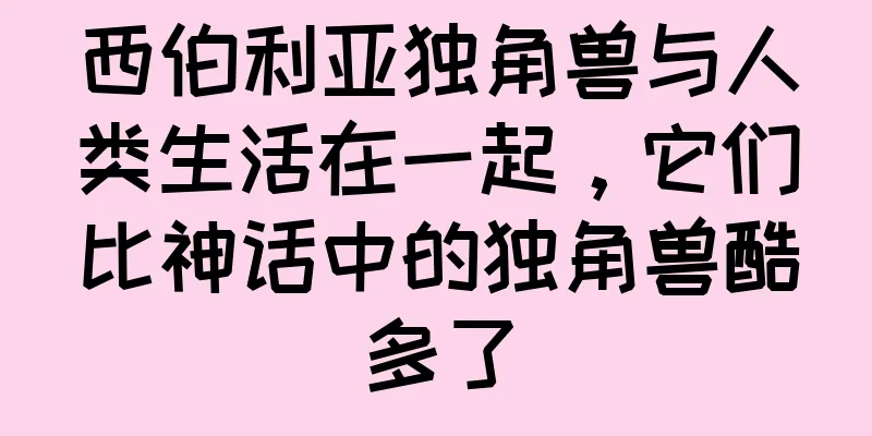 西伯利亚独角兽与人类生活在一起，它们比神话中的独角兽酷多了