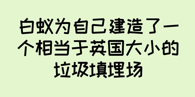 白蚁为自己建造了一个相当于英国大小的垃圾填埋场