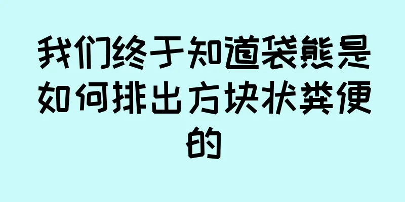 我们终于知道袋熊是如何排出方块状粪便的