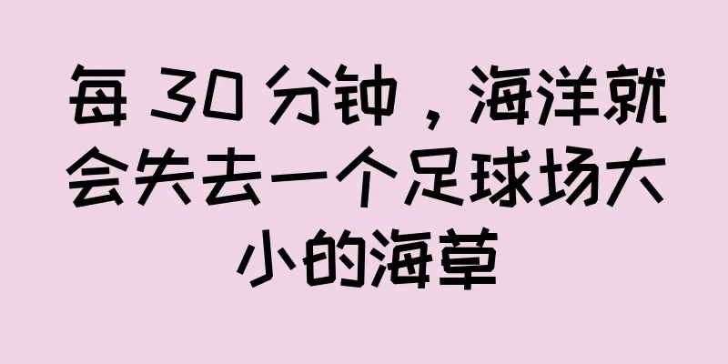 每 30 分钟，海洋就会失去一个足球场大小的海草