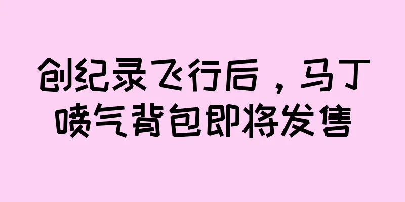 创纪录飞行后，马丁喷气背包即将发售