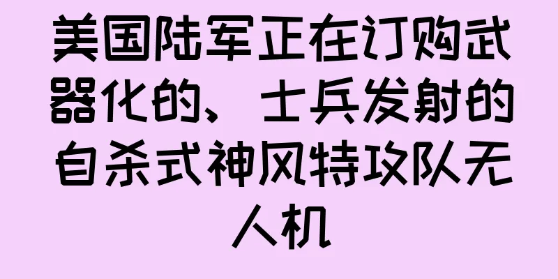 美国陆军正在订购武器化的、士兵发射的自杀式神风特攻队无人机