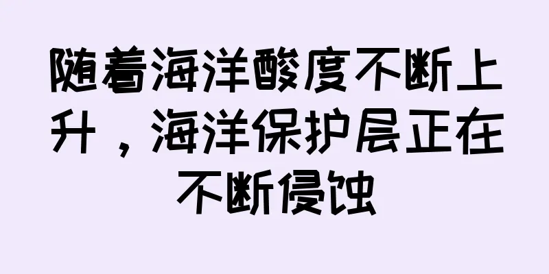 随着海洋酸度不断上升，海洋保护层正在不断侵蚀