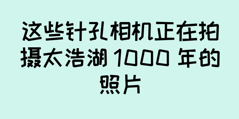 这些针孔相机正在拍摄太浩湖 1000 年的照片