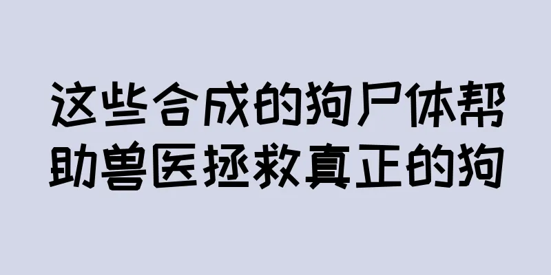 这些合成的狗尸体帮助兽医拯救真正的狗