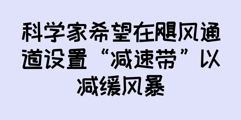 科学家希望在飓风通道设置“减速带”以减缓风暴