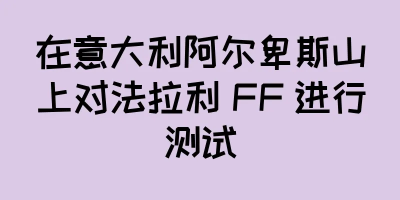 在意大利阿尔卑斯山上对法拉利 FF 进行测试