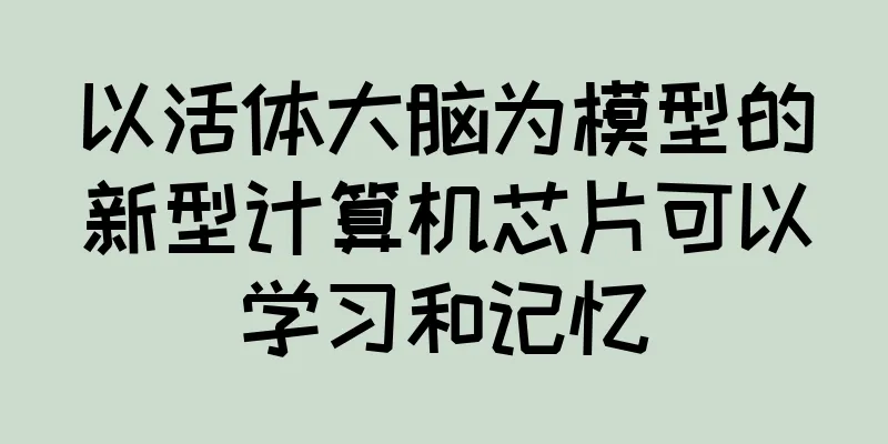 以活体大脑为模型的新型计算机芯片可以学习和记忆