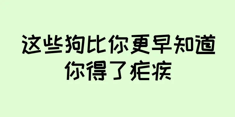 这些狗比你更早知道你得了疟疾