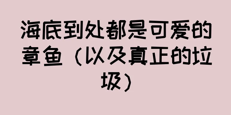 海底到处都是可爱的章鱼（以及真正的垃圾）