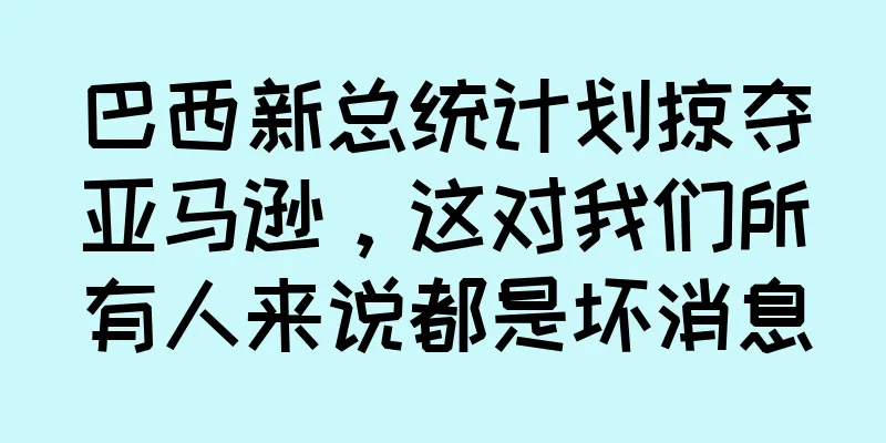 巴西新总统计划掠夺亚马逊，这对我们所有人来说都是坏消息