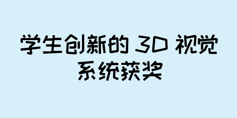 学生创新的 3D 视觉系统获奖