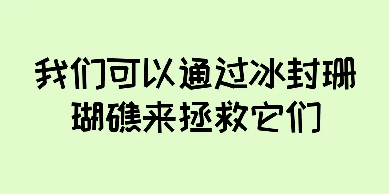 我们可以通过冰封珊瑚礁来拯救它们