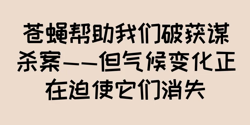苍蝇帮助我们破获谋杀案——但气候变化正在迫使它们消失