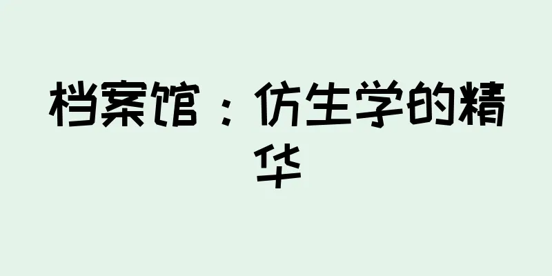 档案馆：仿生学的精华