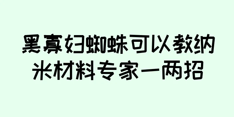 黑寡妇蜘蛛可以教纳米材料专家一两招