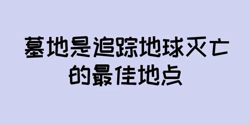 墓地是追踪地球灭亡的最佳地点