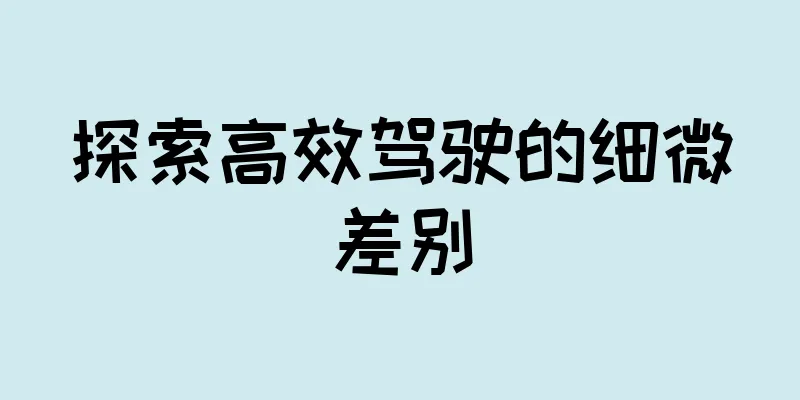 探索高效驾驶的细微差别