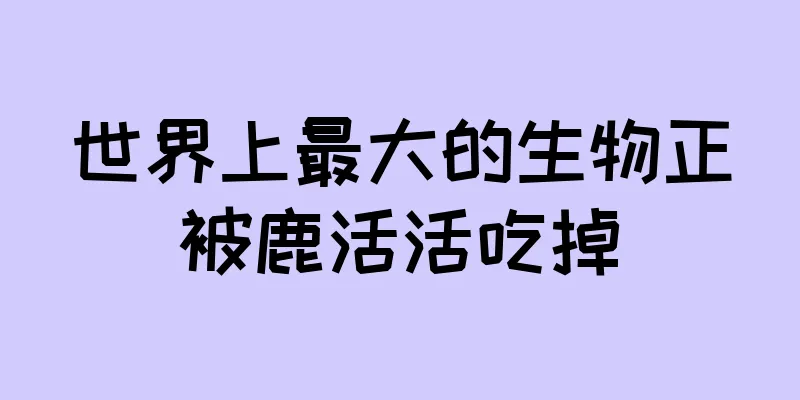 世界上最大的生物正被鹿活活吃掉