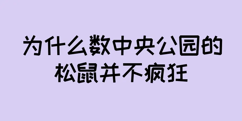 为什么数中央公园的松鼠并不疯狂