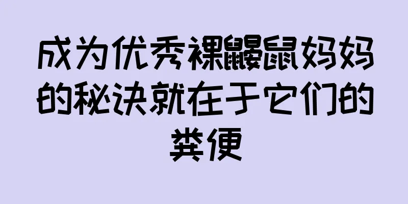 成为优秀裸鼹鼠妈妈的秘诀就在于它们的粪便