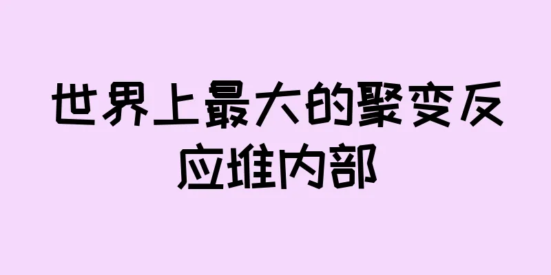 世界上最大的聚变反应堆内部
