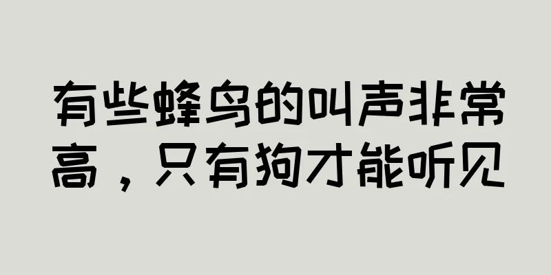 有些蜂鸟的叫声非常高，只有狗才能听见
