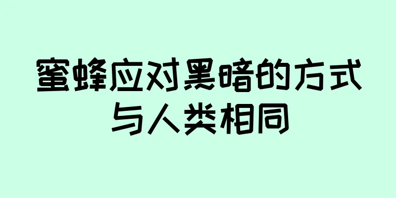 蜜蜂应对黑暗的方式与人类相同