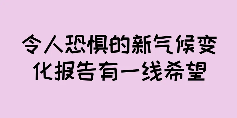 令人恐惧的新气候变化报告有一线希望