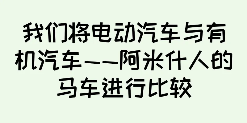 我们将电动汽车与有机汽车——阿米什人的马车进行比较