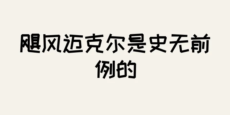飓风迈克尔是史无前例的