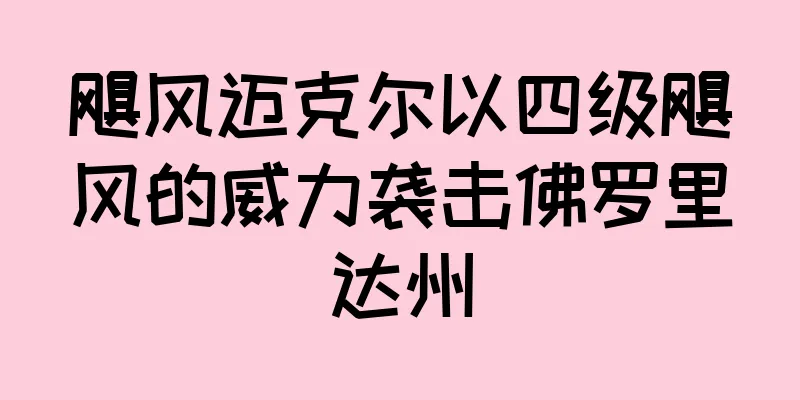 飓风迈克尔以四级飓风的威力袭击佛罗里达州