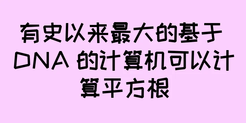 有史以来最大的基于 DNA 的计算机可以计算平方根